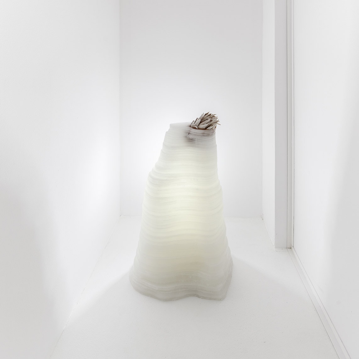 The space between us, by Rosanna Helena Bach