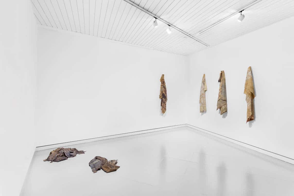 Exúvia by Filipe Cortez, at Galeria Acervo in Lisbon