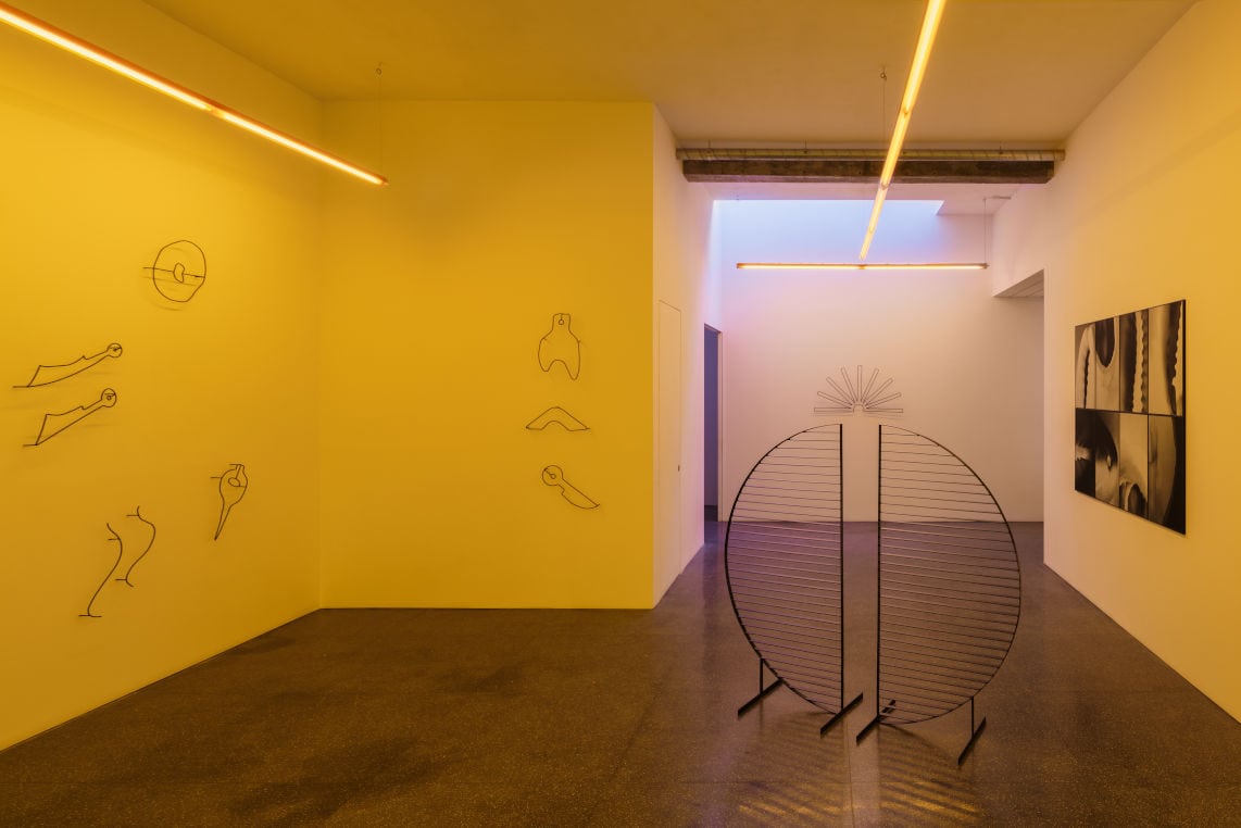 Overlay by Diana Policarpo, at the Lehmann + Silva