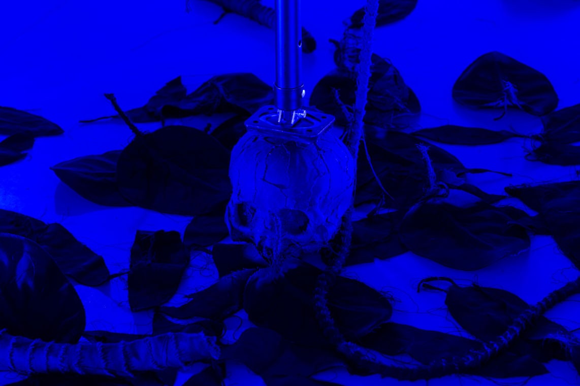 A story interrupts the night – Pedro Valdez Cardoso at the Appleton [box]