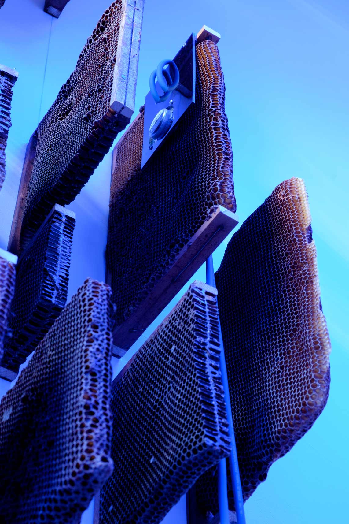 On recurrences, by Ana Guedes