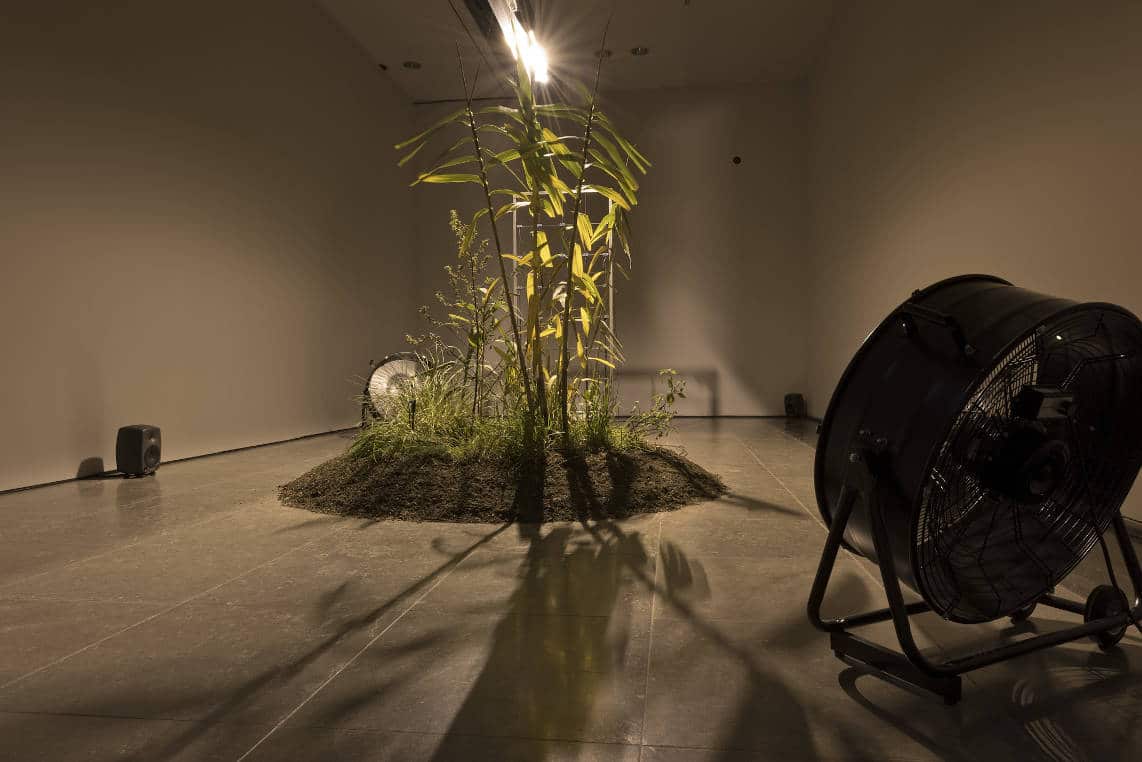 Sonae Media Art 2019: Berru Collective