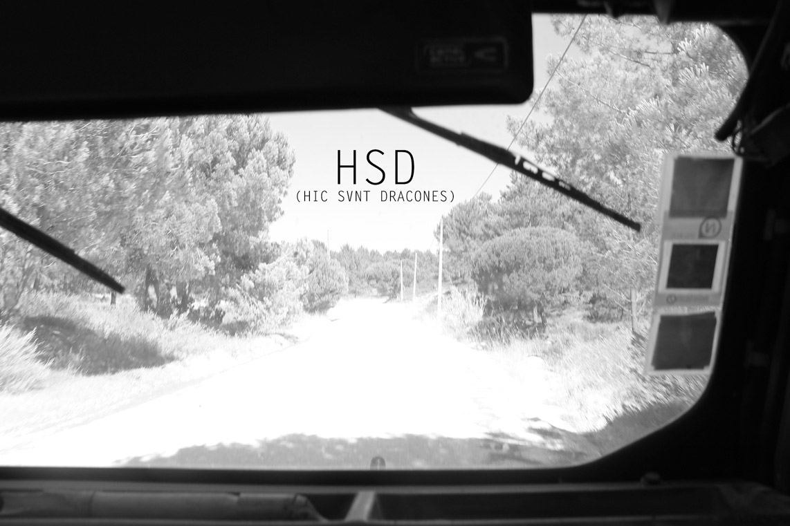 HSD (Hic Svnt Dracones), by Ana Morgadinho