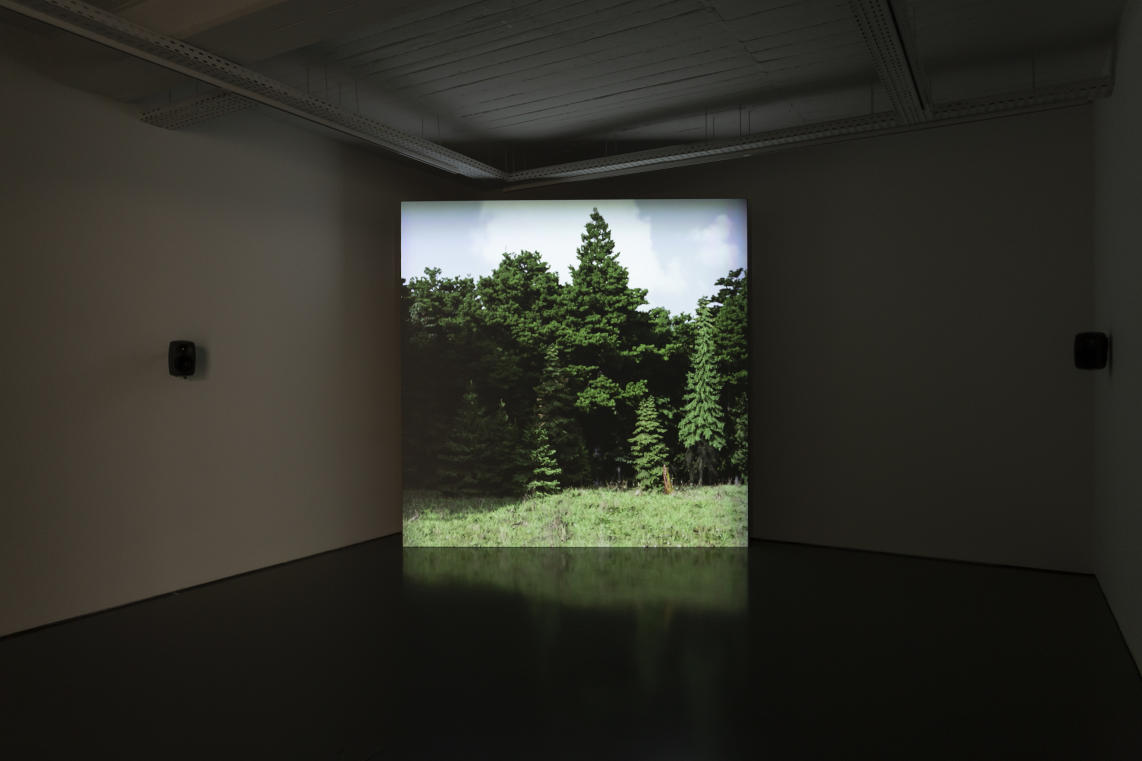 On Wildfire, David Claerbout’s exhibition at Pedro Cera Gallery