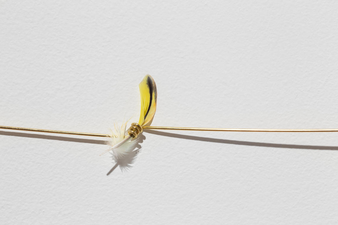 Mutações. The Last Poet by Joana Escoval, at Museu Coleção Berardo