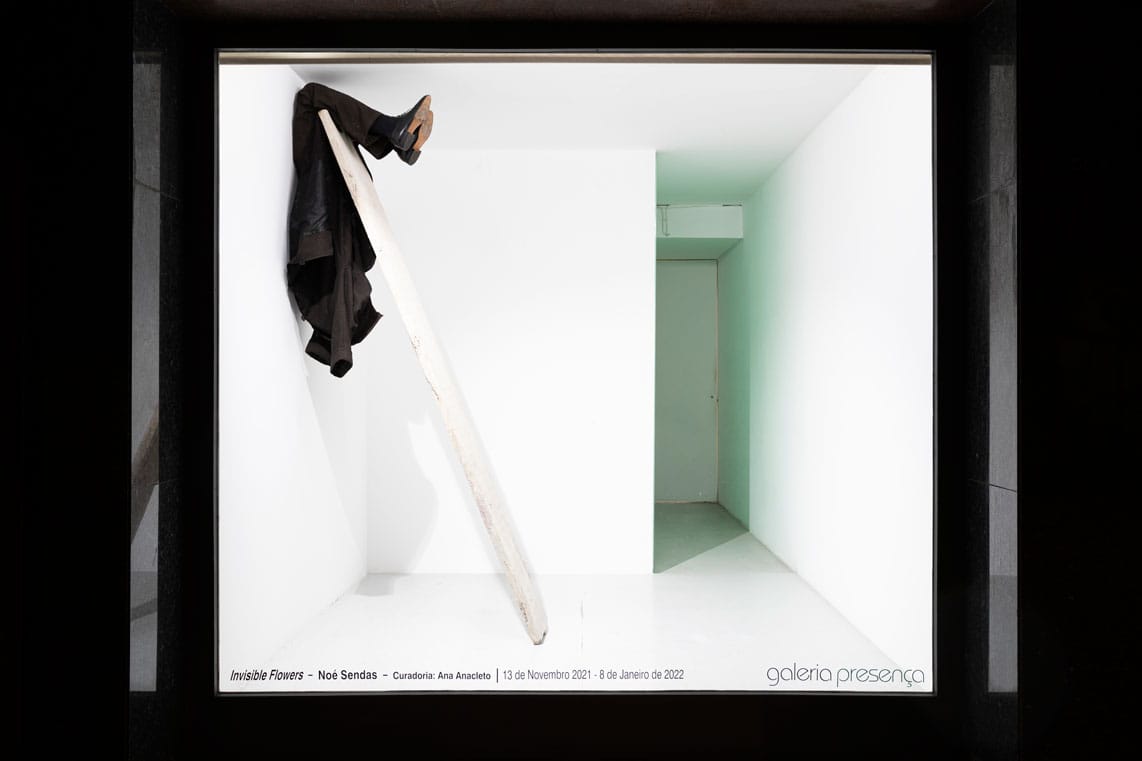 Invisible Flowers: Noé Sendas at Galeria Presença
