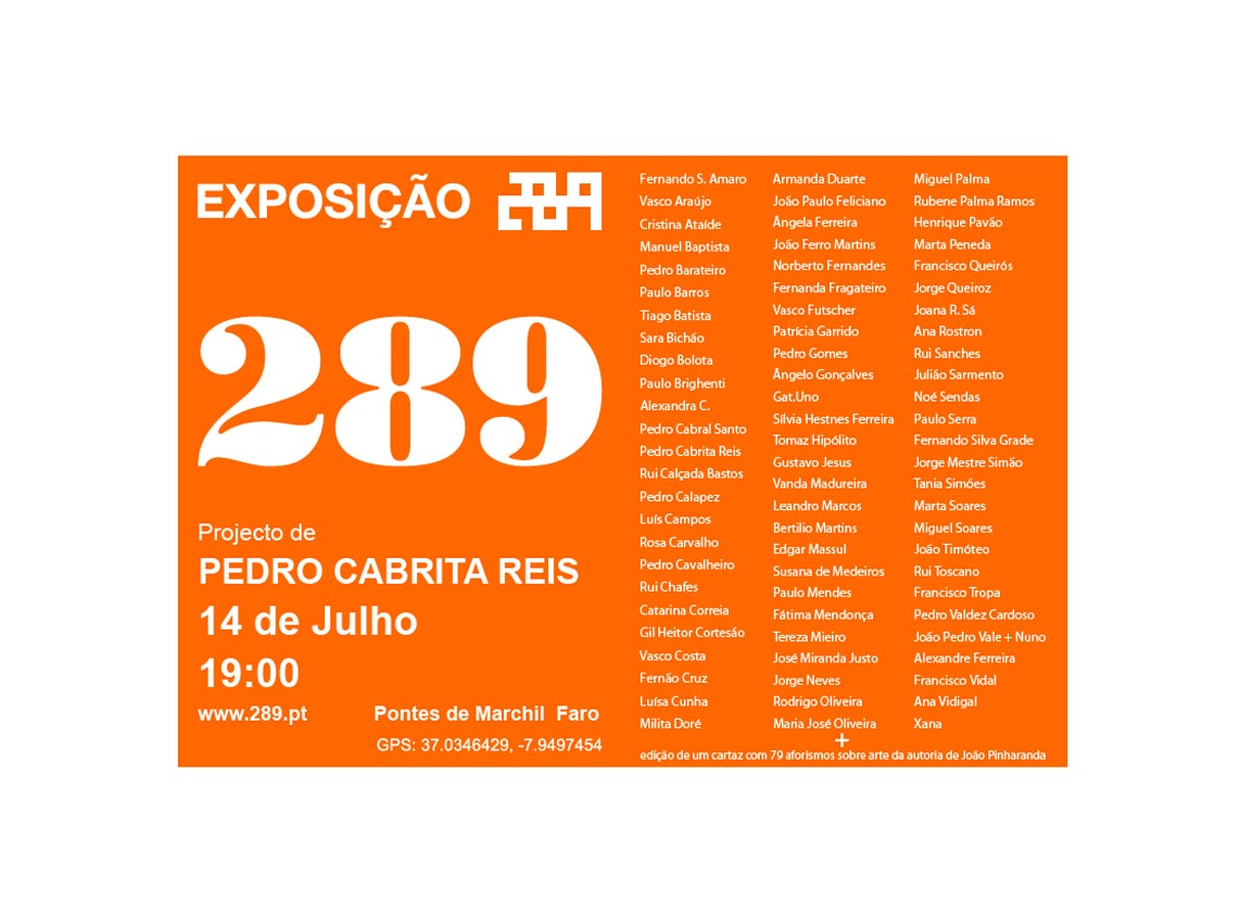 Exposição 289, an artistic manifestation