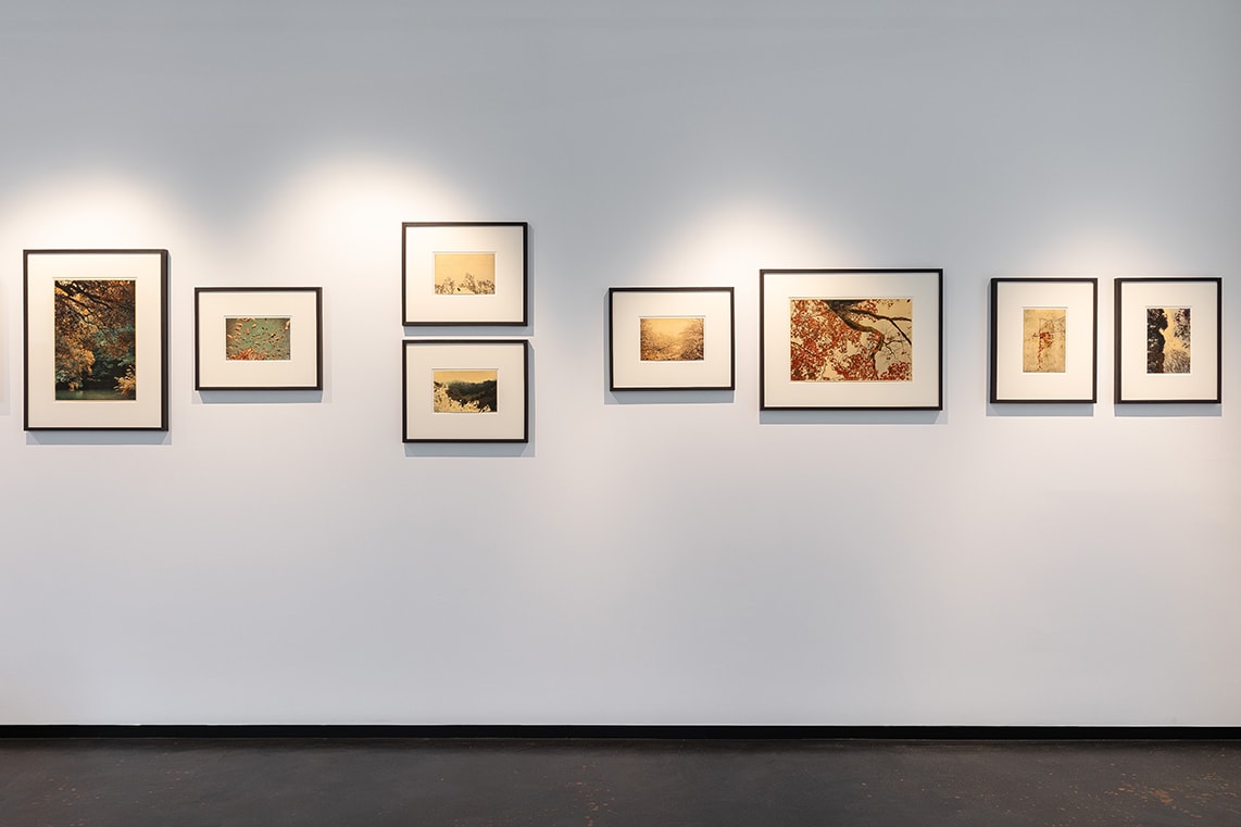The Mouth of Krishna by Albarrán Cabrera at Galeria In The Pink