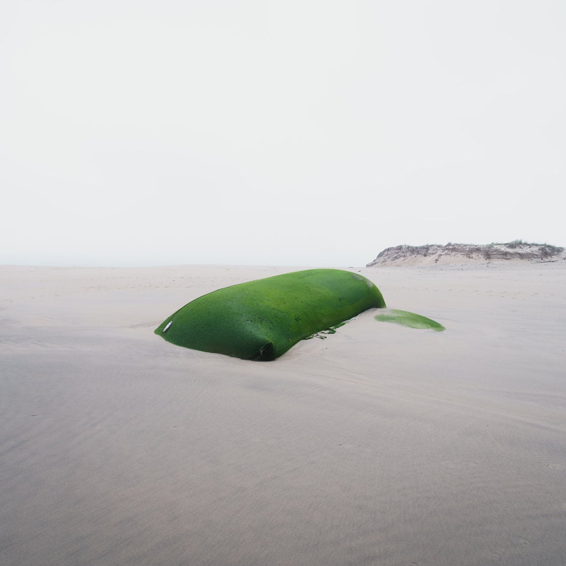 Art in Quarantine — Alexandre Delmar