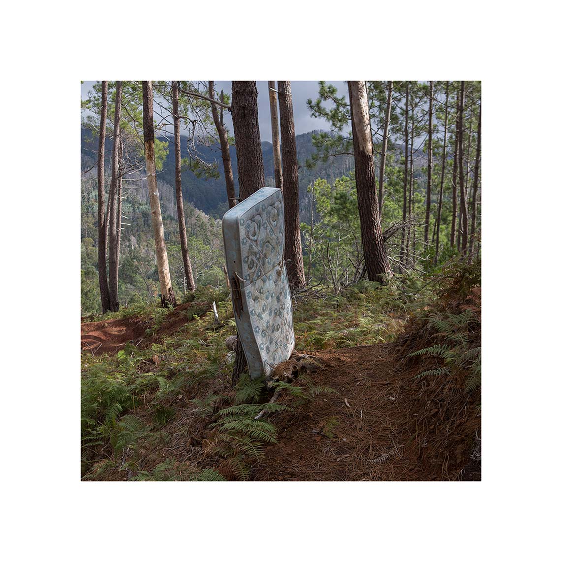 A poem to guess in Rui Pinheiro’s Picos e Lombos