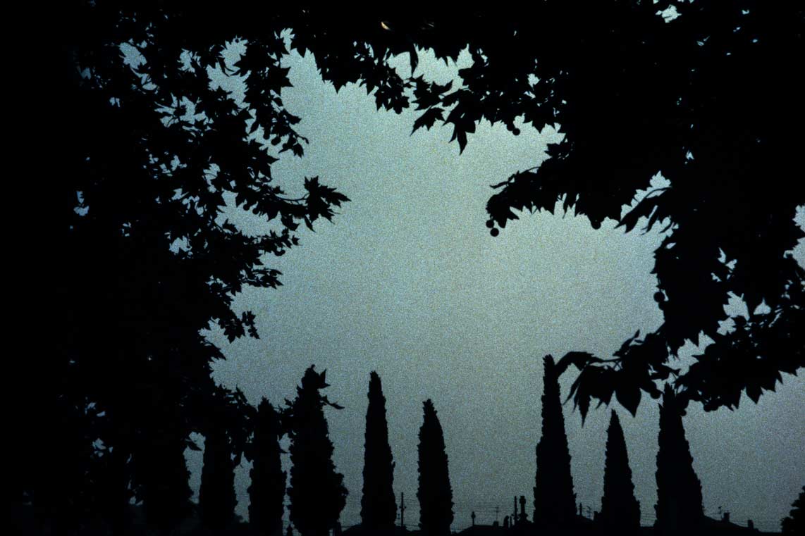 In Carlos Nogueira, the landscape is presented as a transforming object