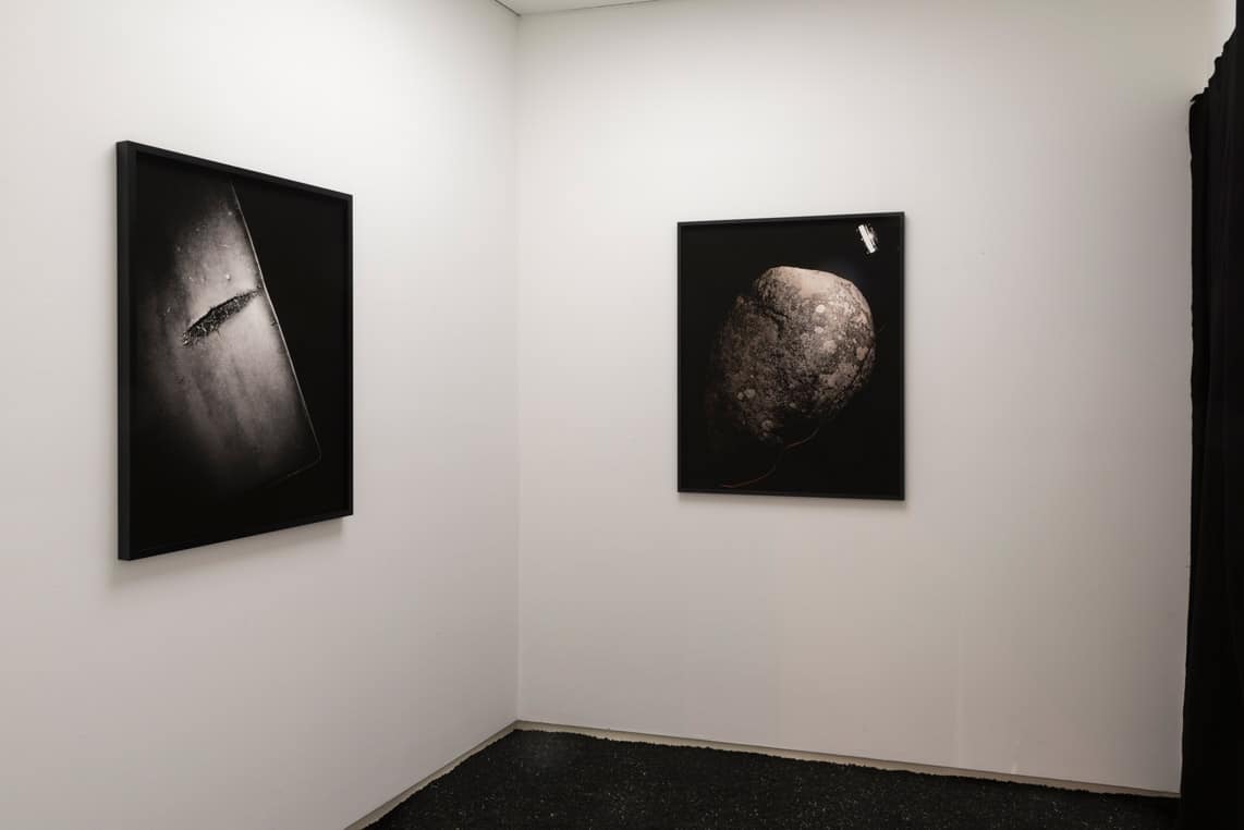 On light by shadow: Ater, at Salgadeiras Gallery