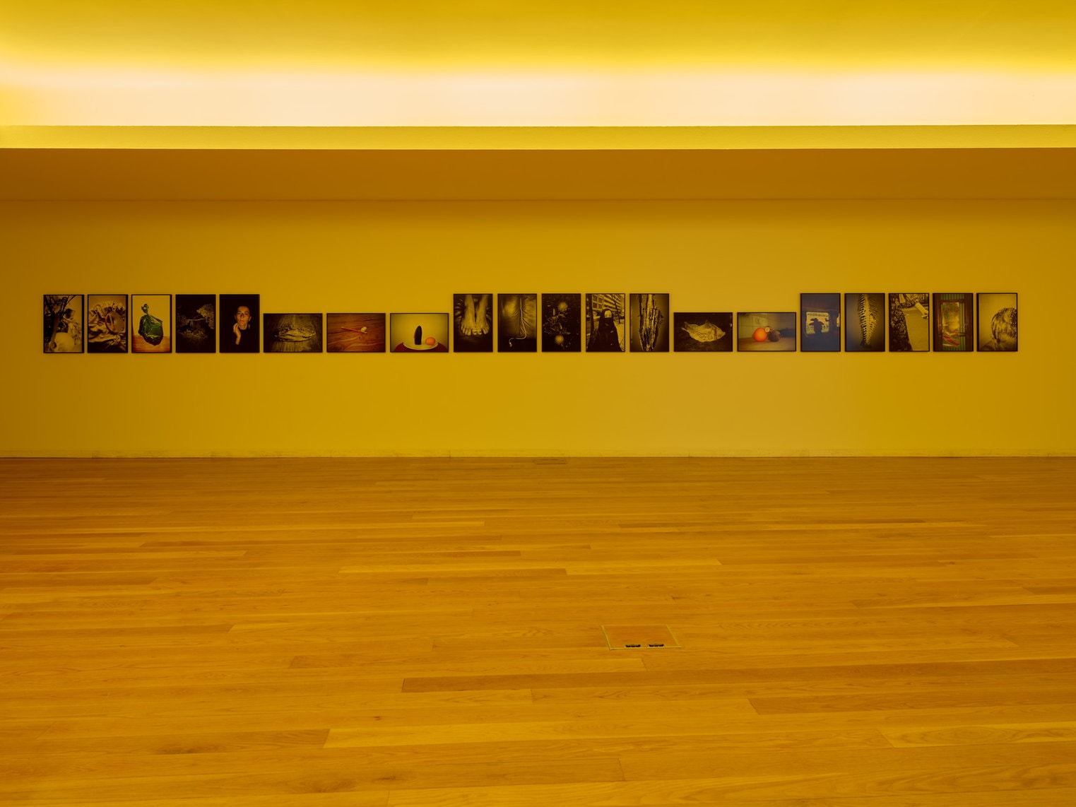 Febre: António Júlio Duarte at Museu de Arte Contemporânea de Serralves