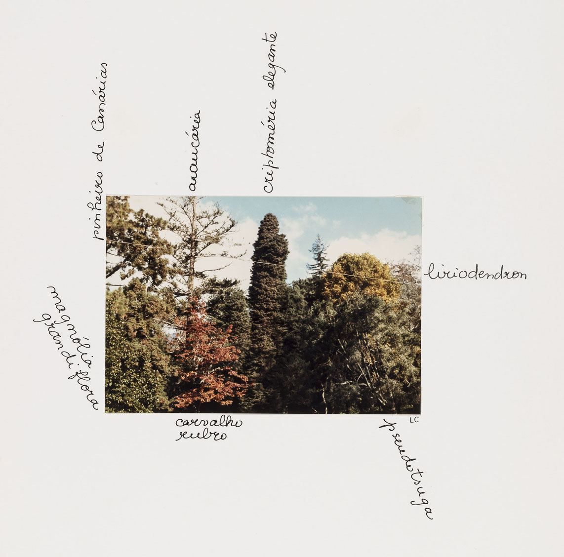 Main Entrance. Quinta do Monte (1983-88) by Lourdes Castro