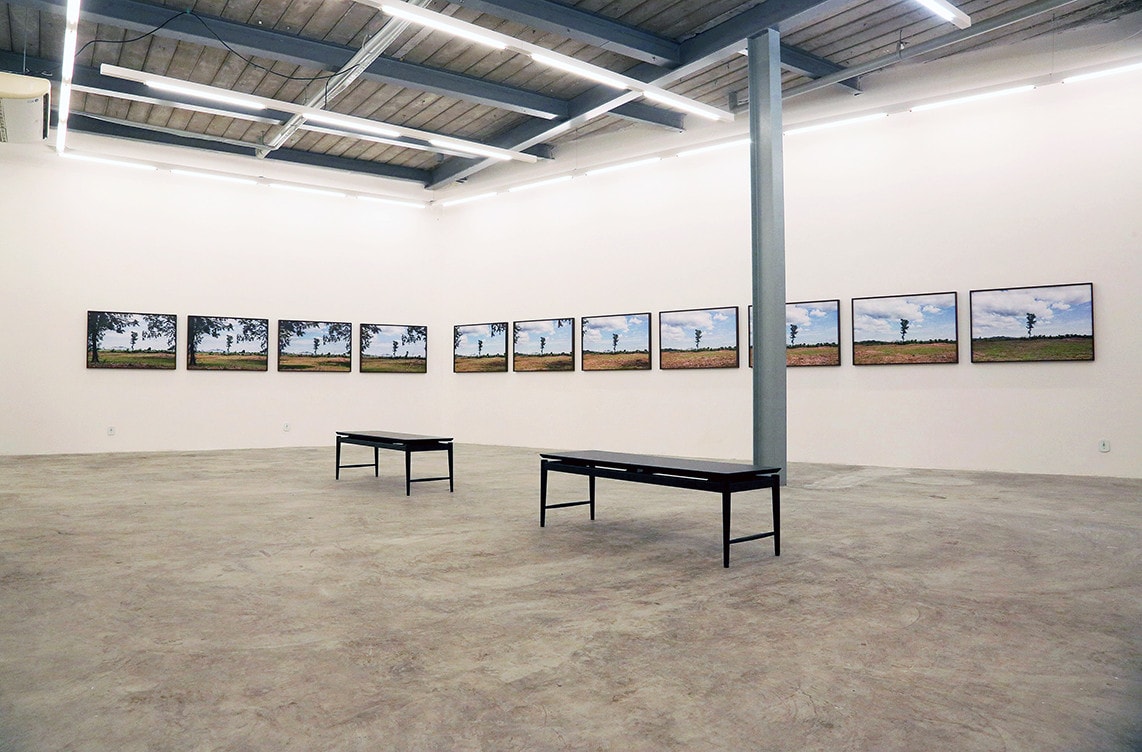 Traumatized places on an injured planet: a conversation between Alice Miceli and Michael Marder