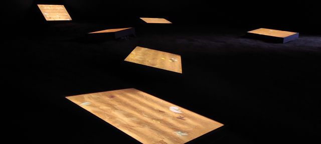 Muxima: Edson Chagas at .insofar