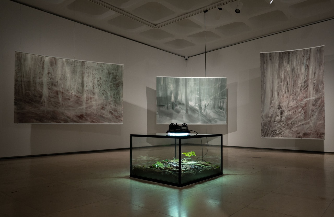 A Vida Sensível: Pedro Vaz at Galeria 111