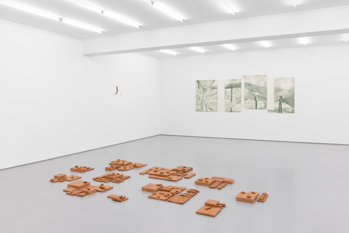 Not even Eden is wasted: Gabriela Albergaria and the art of recycling thoughts