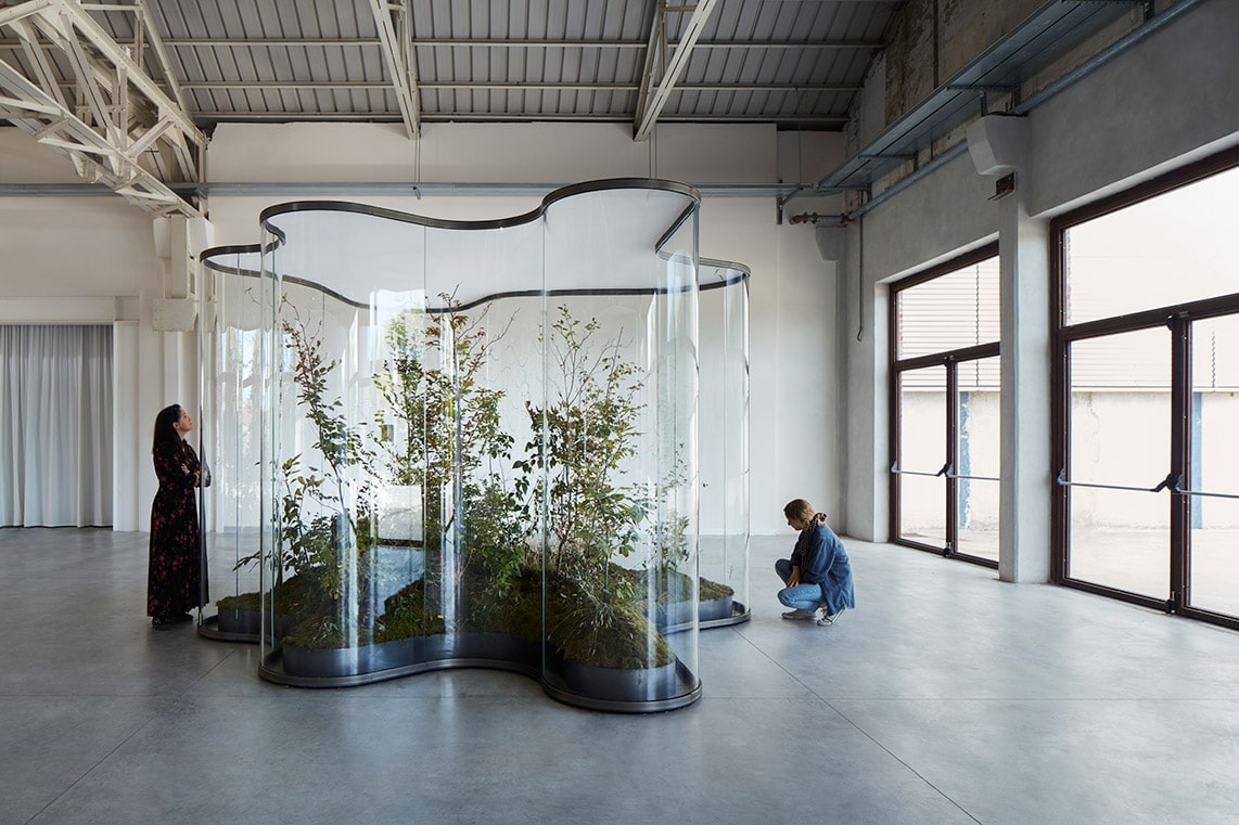 Changing Perspective: Daniel Steegmann Mangrané at Pirelli HangarBicocca