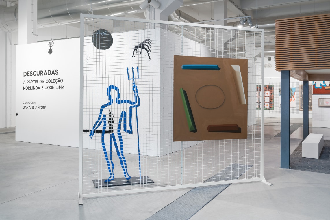 Descuradas: Obras da Coleção Norlinda e José Lima at Centro de Arte Oliva