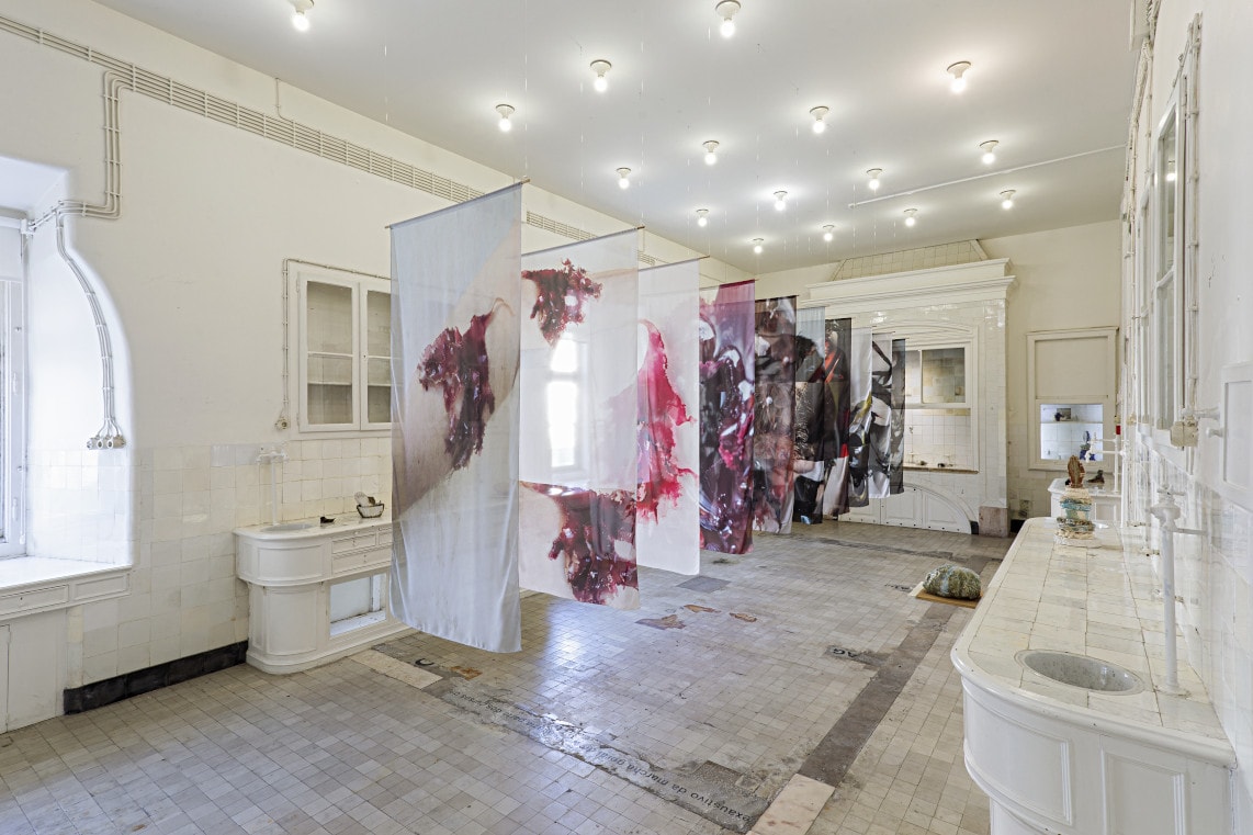 Algae Odyssey: Ana Kesselring at the National Museum of Natural History and Science