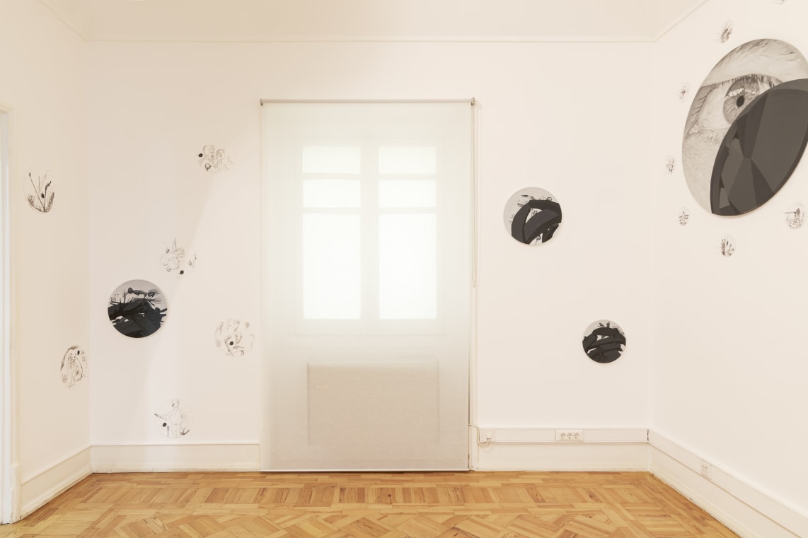 Polka Dot Brain and Sobrevoo: António Olaio and Rita Gaspar Vieira at Galeria Belo-Galsterer
