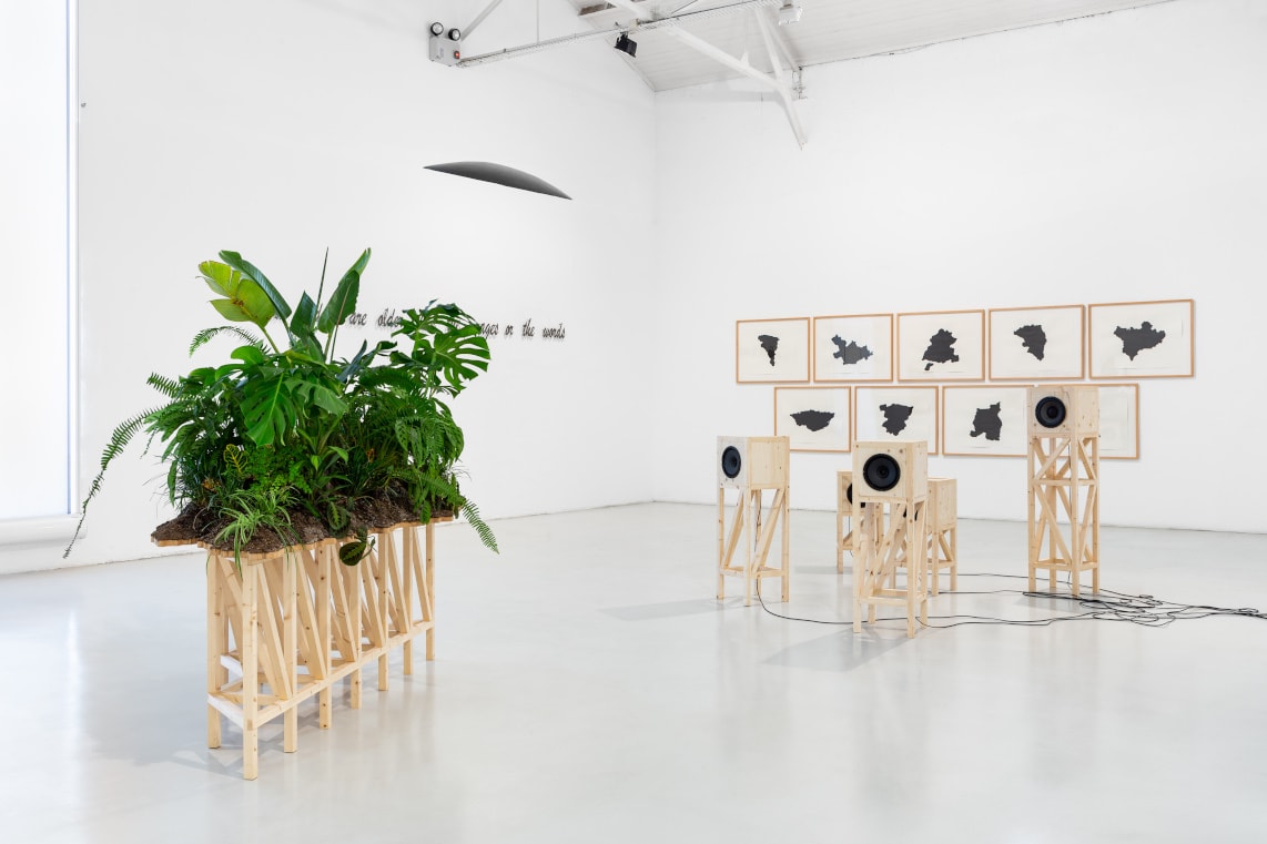 Mirages and Deep Time: Mónica de Miranda at Galeria Avenida da Índia