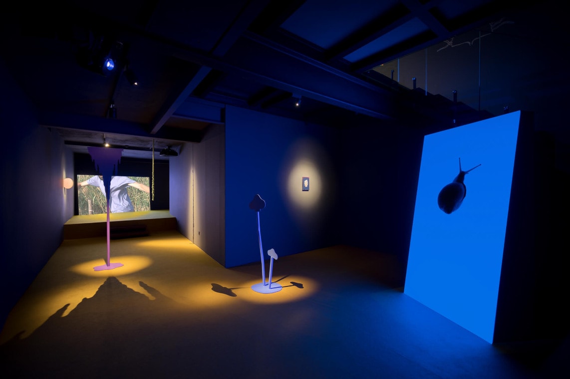 The Tale – Tiago Baptista at Rialto6