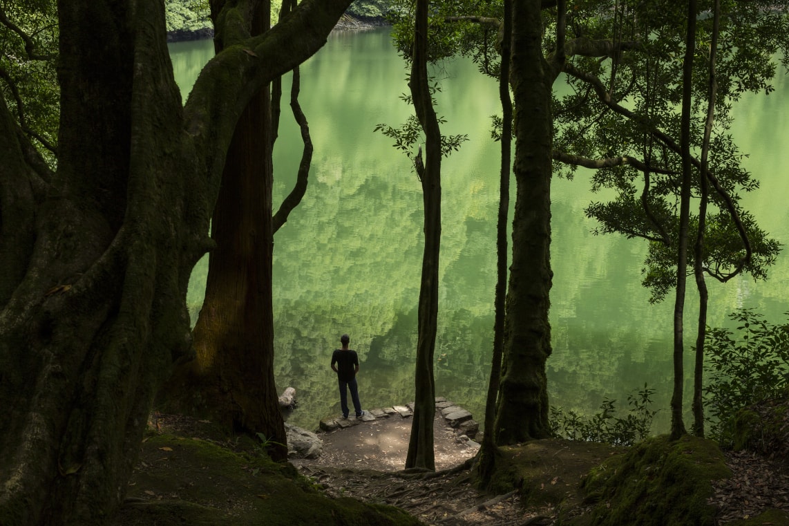 Echoes of Nature by Manuela Marques at MNAC – Museu Nacional de Arte Contemporânea