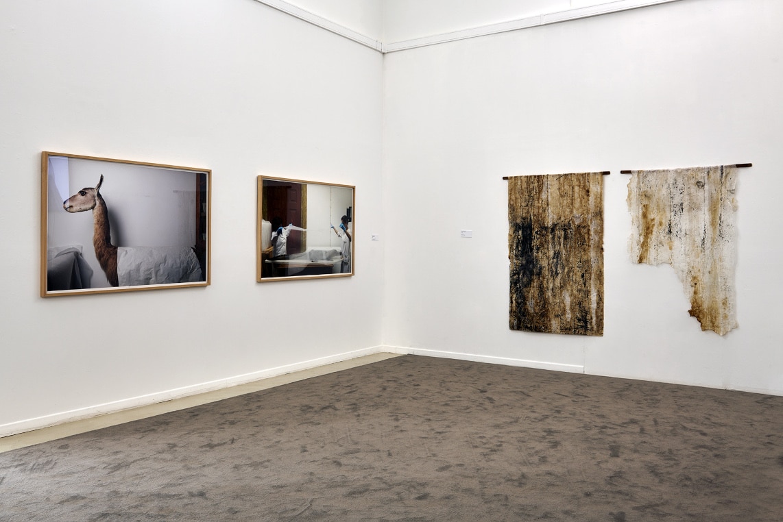 Seminário: Curated Research_The Academy as Medium at Colégio das Artes da Universidade de Coimbra