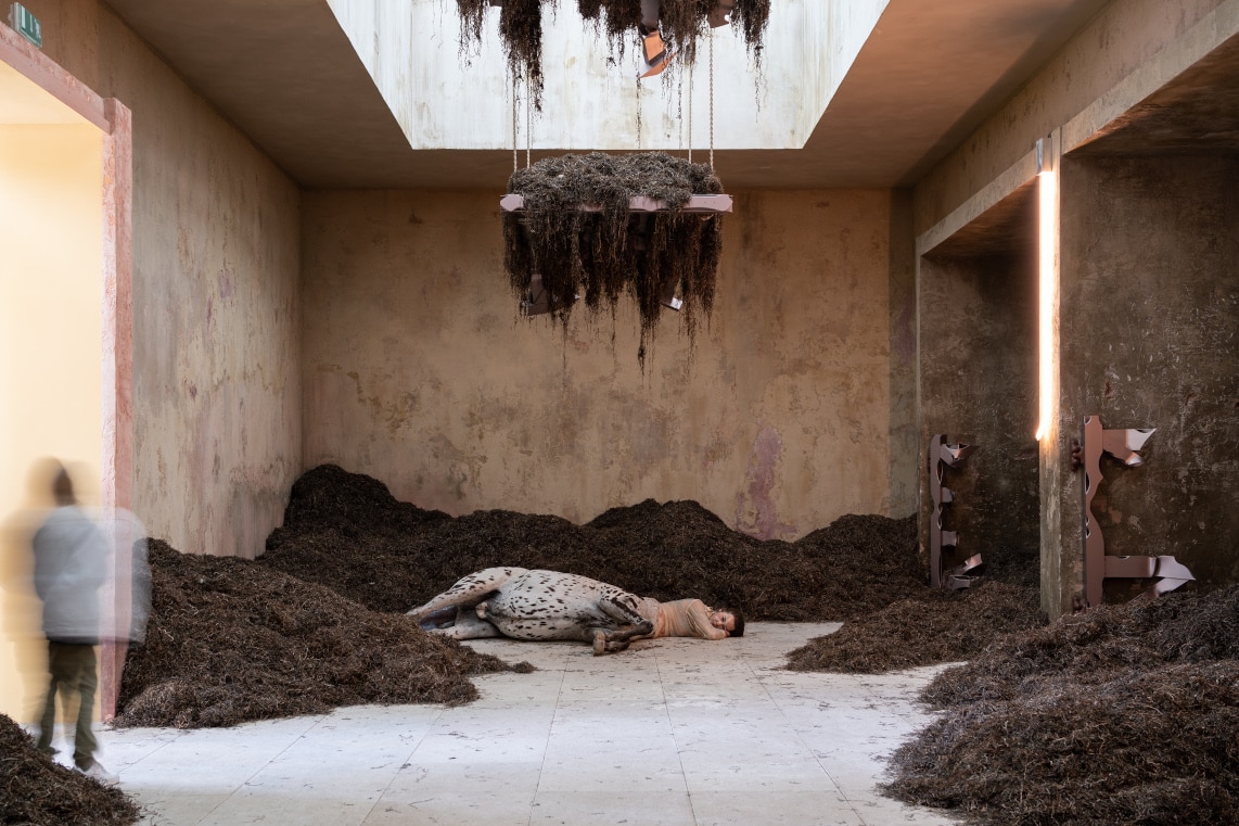 National Pavilions and the National Pavilion at the Venice Biennale