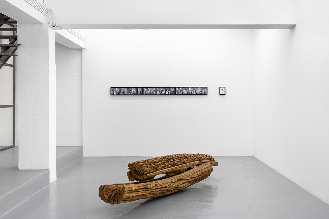 Os caminhos do corpo: Alberto Carneiro at 3+1 Arte Contemporânea