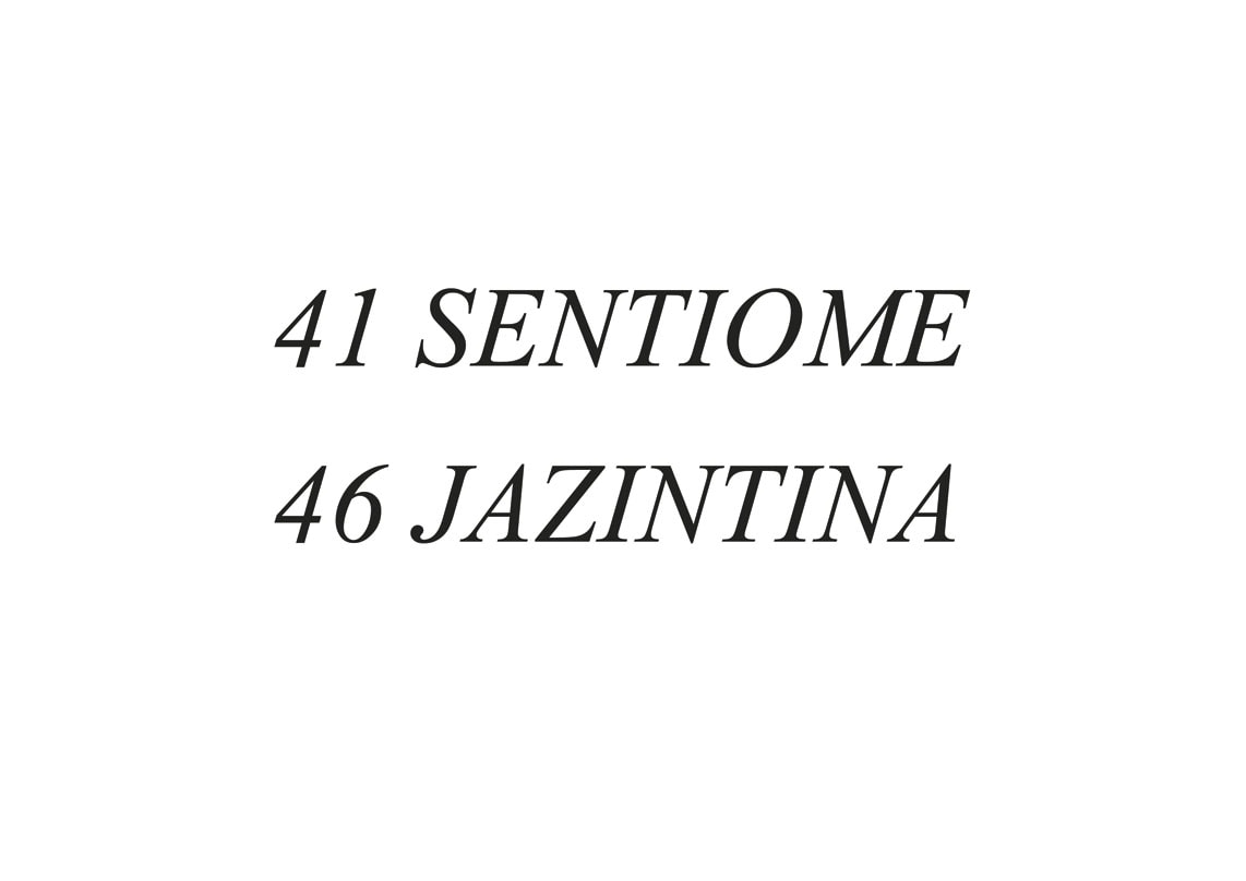 Art in Quarantine — Francisca Aires Mateus