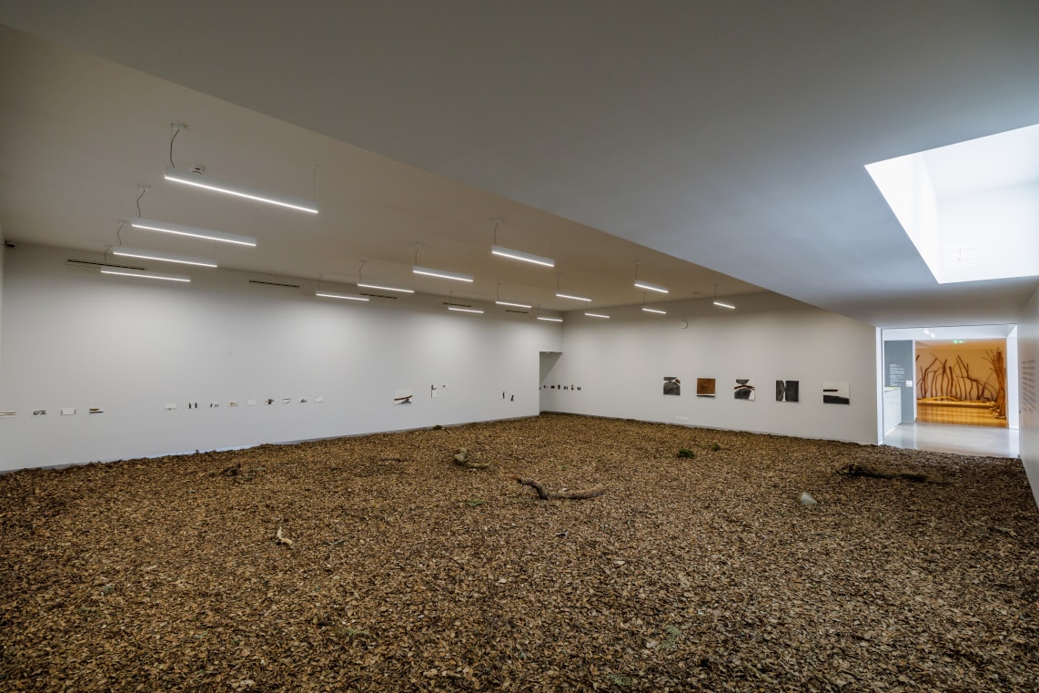 Samuel Silva: Portelos, Cancelas e Biqueiros @ CAAC