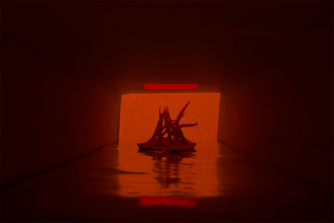 Art in Quarantine — Manuel Fonseca