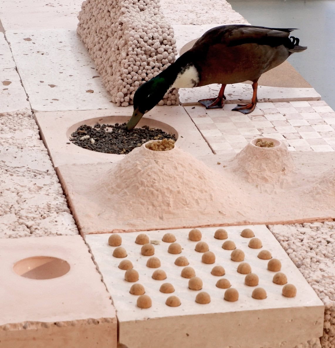 Applications are open for the first MAC/CCB – Architecture Centre grants