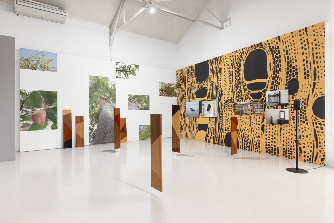 Memória Colateral: Uriel Orlow at Galeria Avenida da Índia
